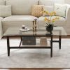 42 Inch Rectangular 2-Tier Glass Coffee Table with Storage Shelf