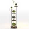 6-Tier Plant Stand with RGB Light Strip, Smart APP & Remote Control Plant Shelf for Home Decor-Rustic Brown